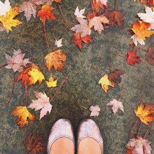 Tieks LOVESTRUCK 💕 Shoe